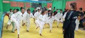 OFICINA DE TAEKWONDO – CHUTES E DISCIPLINA